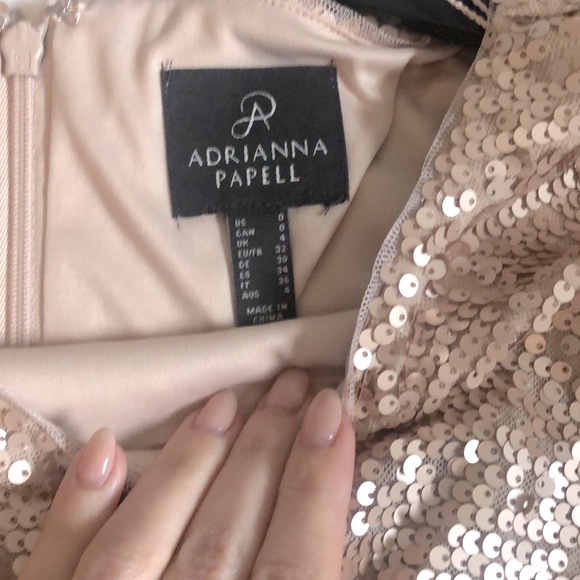Adrianna Papell Blush Gown Size 0 - Picture 4 of 5